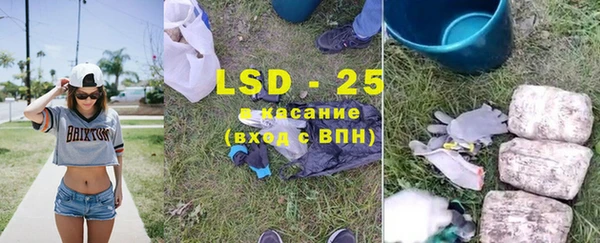 кокс Болотное