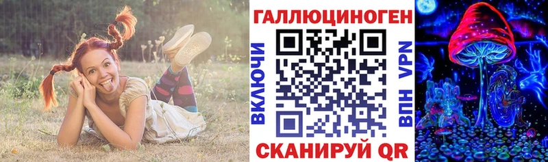 Псилоцибиновые грибы Psilocybine cubensis  купить  цена  Энем 